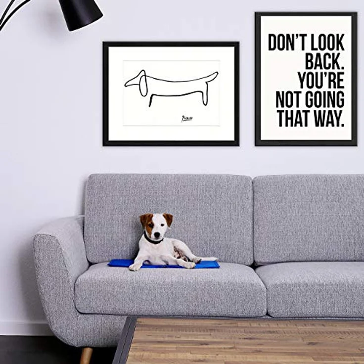 lionto Kühlmatte für Hunde & Katzen, selbstkühlende faltbare Haustiermatte 90x50 cm, ohne Strom, leicht zu reinigen, blau – Bild 2