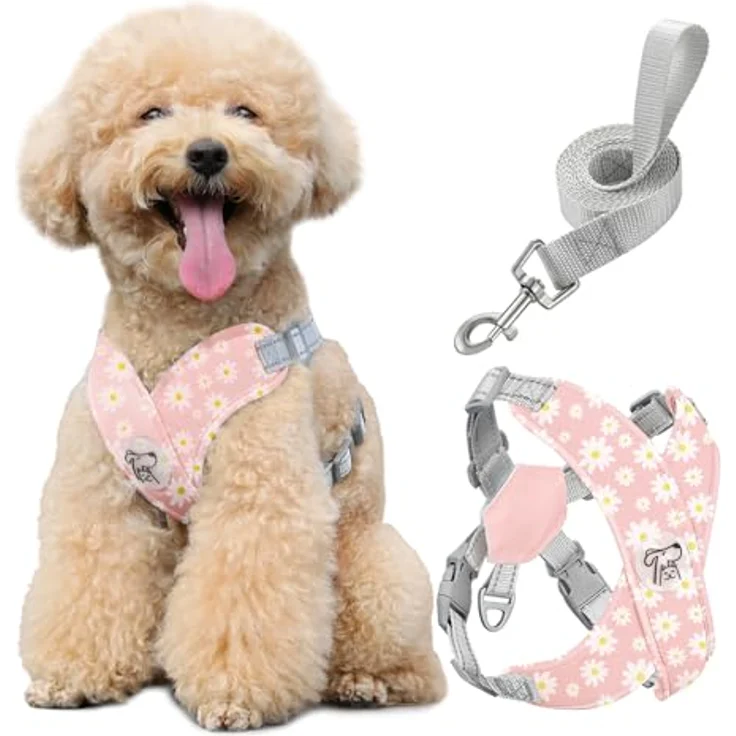 Pawaboo X-Rahmen Hundegeschirr mit Leine, verstellbares Anti-Zug und Anti-Erstickungs Brustgeschirr für kleine & mittelgroße Hunde, M, Rosa Gänseblume – Bild 1