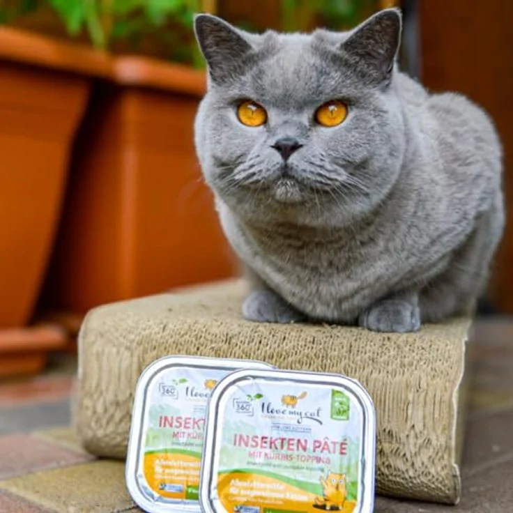 I Love My Cat Insekten Paté Nassfutter für Katzen mit Kürbis-Topping, hypoallergen, leicht verdaulich, unterstützt Nierenfunktion, 150 g (1er Pack) – Bild 5