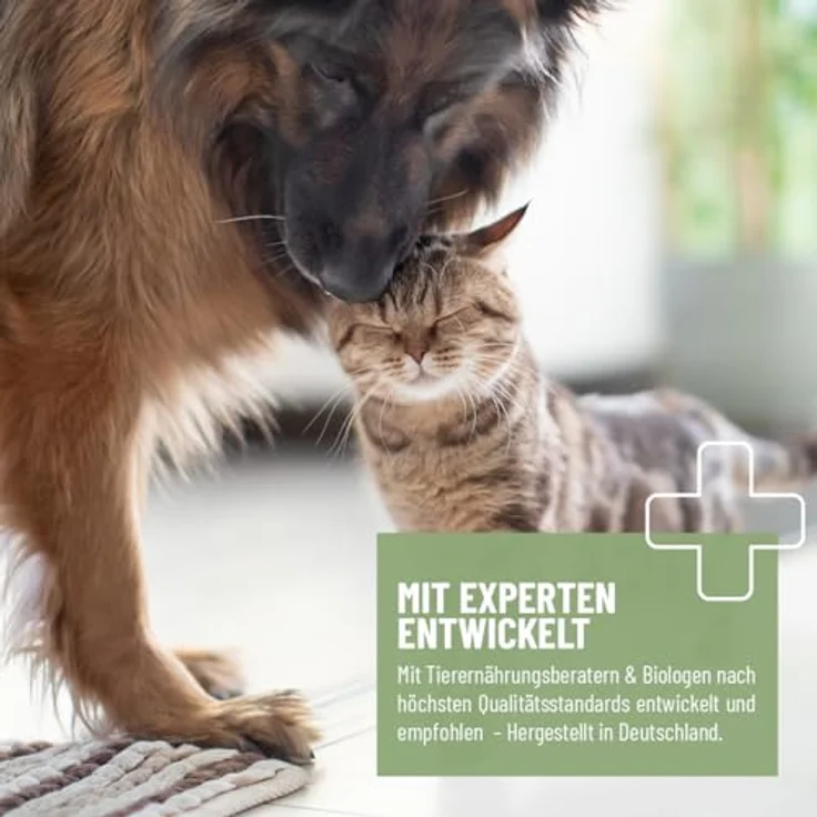 ReaVET Bierhefe Pulver für Hunde & Katzen, 1,5kg – Natürliche Ergänzung für glänzendes Fell & vitale Haut, reich an Biotin und B-Vitaminen, ohne Zusatzstoffe – Bild 3