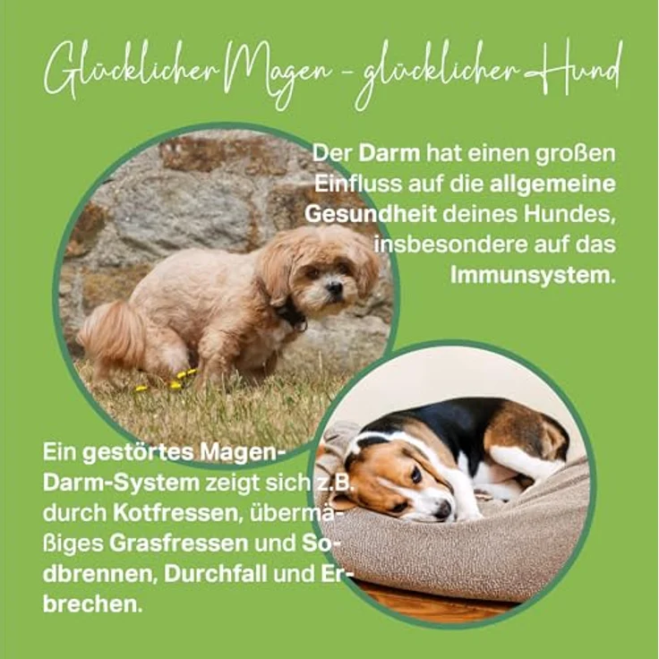 MEDIDOG 500g Premium Ulmenrinden-Paste für Hunde, ohne Zusatzstoffe, unterstützt gesunde Verdauung und normale Kotkonsistenz – Bild 4