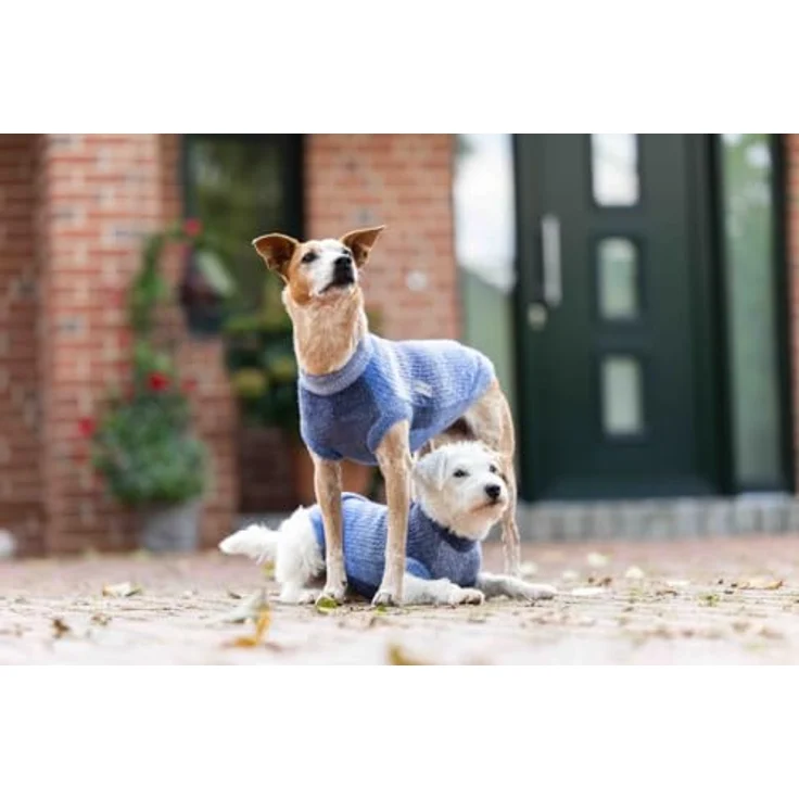 Wolters Strickpullover Sky, kuscheliger Hundepullover mit Farbverlauf, 20 cm – Bild 5