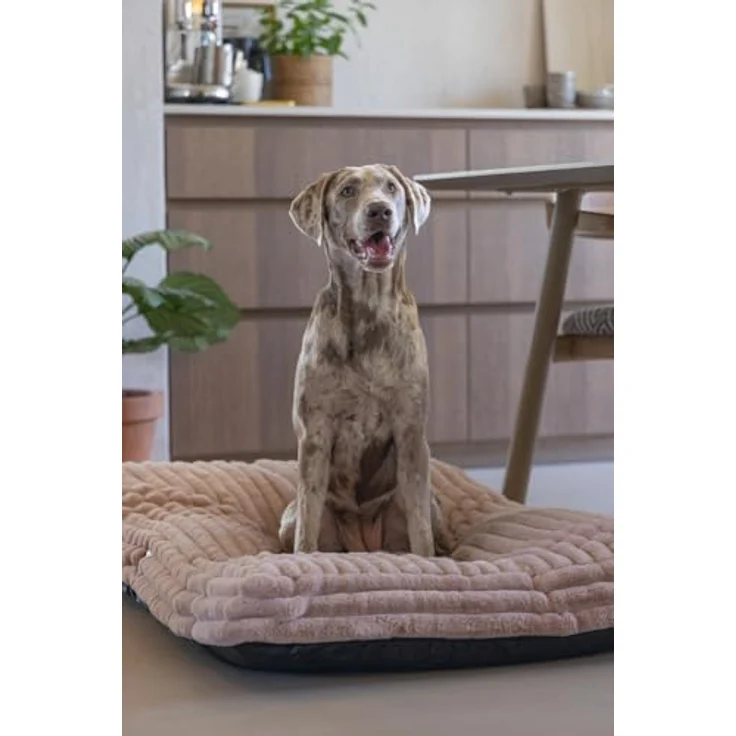 Designed By Lotte Tierkissen Hundekissen Reza rosa - Stilvolles Liegekissen mit dicker gerippter Stoff und rutschfester Unterseite – Bild 8