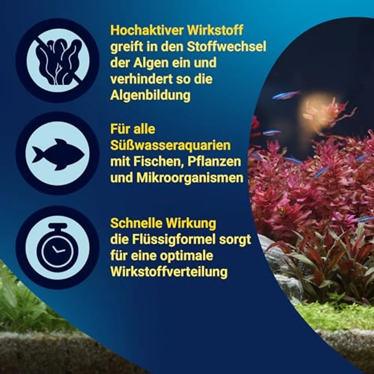Tetra AlguMin, Algenbekämpfungsmittel zur effektiven Bekämpfung aller Algenarten, 100ml Flasche – Bild 4