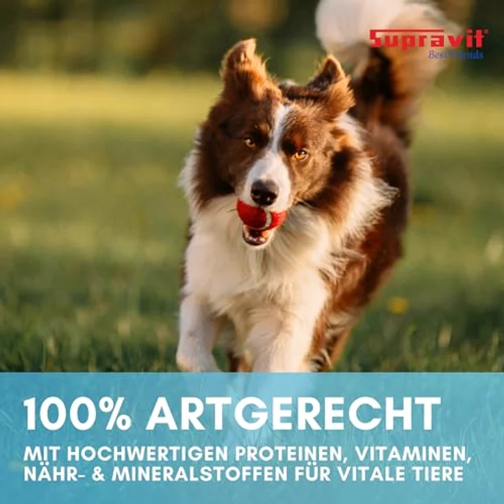 Supravit Nassfutter für Hunde, Wildfleisch-Dosenfutter mit hohem Fleischanteil, Gemüse & Nudeln, Set 12 x 410g Dosen – Bild 3