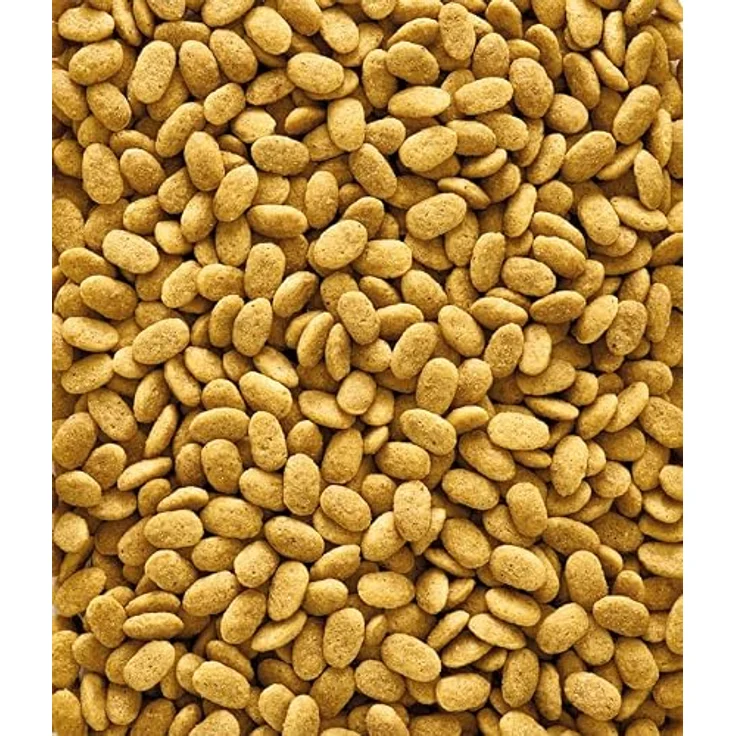 Versele-Laga NUTRIBIRD P15, Original Papageienfutter, 3 kg Beutel – Bild 2