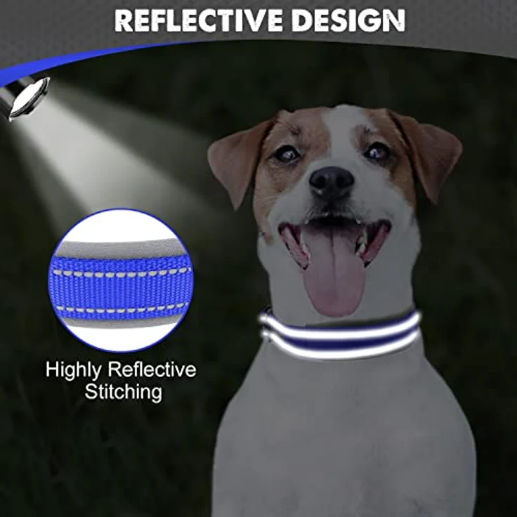 Joytale Hundehalsband, Weiches gepolstertes Neopren-Halsband für kleine Hunde, Reflektierende Nylon-Variante in Königsblau – Bild 4