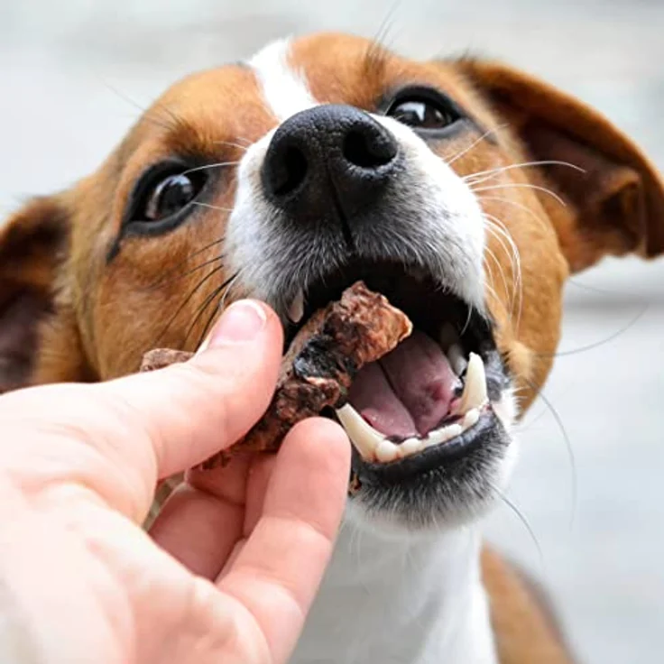 Carnello Alpenglück Luftikus, Getreidefreies Hundefutter trocken, 2 x 100g, gesund und mineralreich – Bild 3