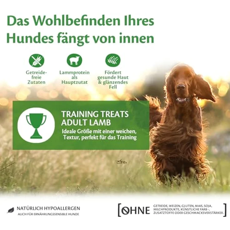 Wellness CORE Training Treats Lamm & Apfel, 170 g, getreidefreie Hundeleckerli mit hohem Fleischanteil, ohne Zuckerzusatz, ideal fürs Training – Bild 3