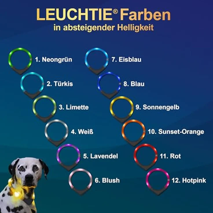 Leuchtie Leuchtie Plus, Leuchthalsband mit Leine für Hunde, 100 Stunden Leuchtkraft, verschiedene Farben verfügbar – Bild 4