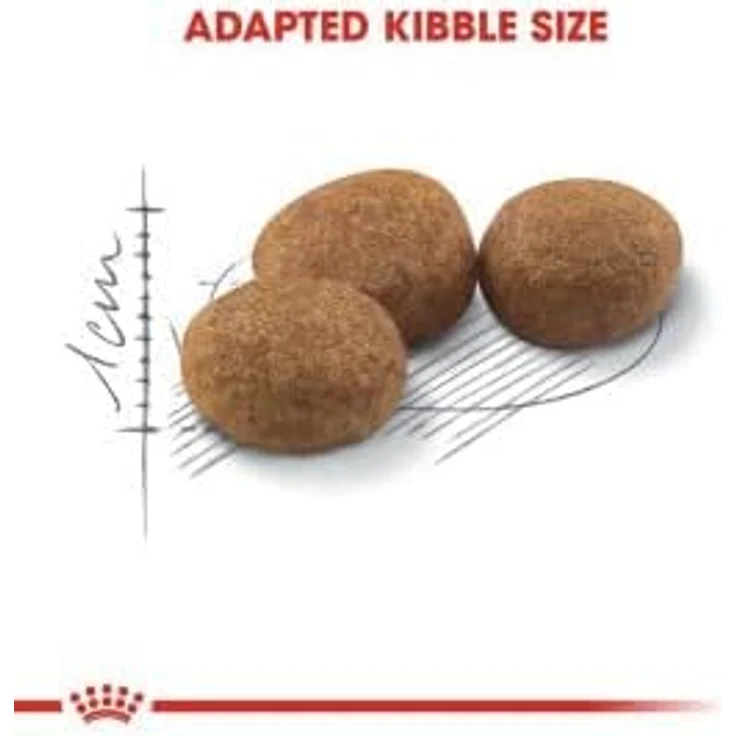 Royal Canin Sterilised 37, Katzenfutter für kastrierte Katzen, 10 kg, ausgewogenes Futter mit hohem Proteingehalt und moderatem Fettgehalt – Bild 2