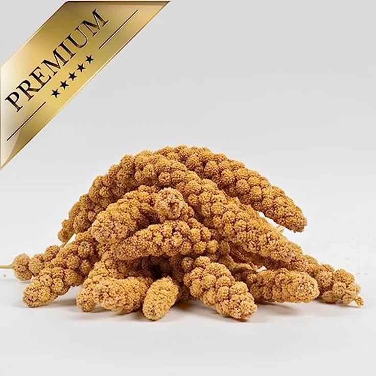 Lyra Pet® Kolbenhirse gelb 5 kg, ganzjähriges Vogelfutter für Ziervögel & Wildvögel, handverlesen, nährstoffreich, ideal für Wellensittiche & Kanarienvögel – Bild 5