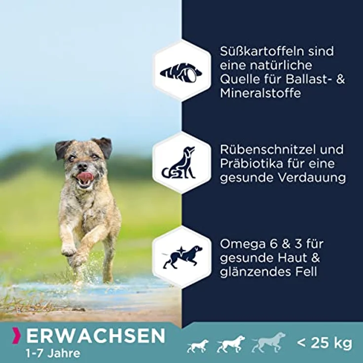Eukanuba Hundefutter getreidefrei mit Huhn, Trockenfutter für kleine und mittelgroße Rassen, 12 kg, glutenfrei, reich an Proteinen, ohne künstliche Zusatzstoffe – Bild 4