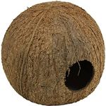 JBL 61512 Cocos Cava, Kokosnuss-Schale als Höhle für Aquarien und Terrarien, 3/4 L Naturprodukt ohne Schadstoffe