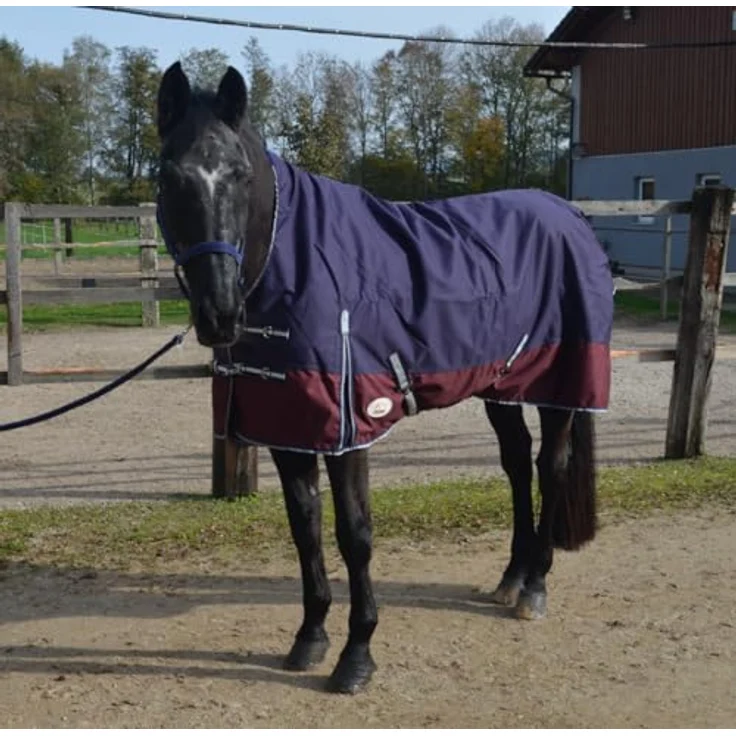 AMKA Pferde Weideoutdoordecke HIGH Neck 1200D, 50 g Füllung, wasserdicht und atmungsaktiv, dunkelblau/weinrot, mit Kreuzgurten und Schweiflatz – Bild 4
