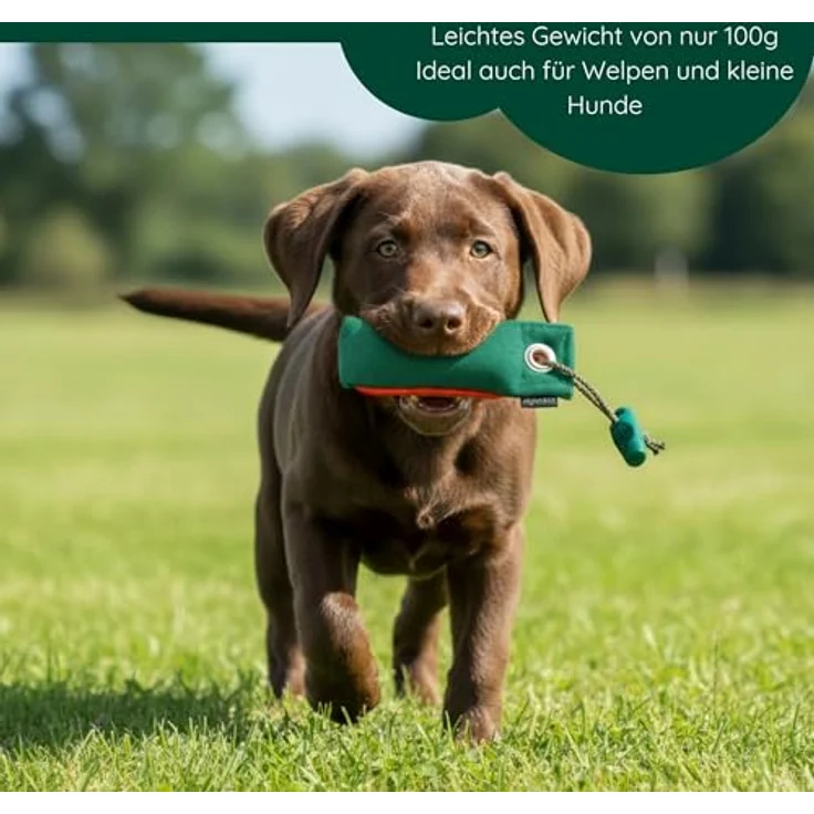 Romneys Suchen Dummy Mini-Dummy für kleine Hunde, 100g, schwimmfähig mit Wurfgriff (grün) – Bild 4