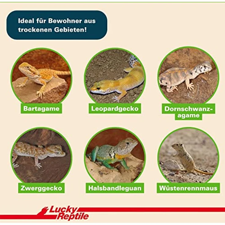 Lucky Reptile Desert Bedding, Terrarienerde für Wüsten- und Savannenterrarien, 20 l mit hohem Lehmanteil und Feuchtigkeitsspeicherung – Bild 3