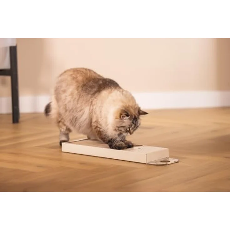 Beeztees Kratzbrett Igel aus Karton, beige, 45 x 13 x 2 cm, mit Katzenminze und Papphaken für vertikales Kratzen – Bild 3