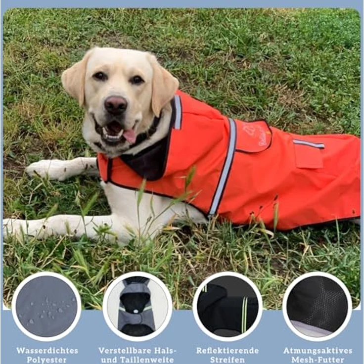 Bella & Balu Hunderegenmantel L, wasserdicht mit Kapuze und Reflektoren für sichere Gassigänge, orange – Bild 5