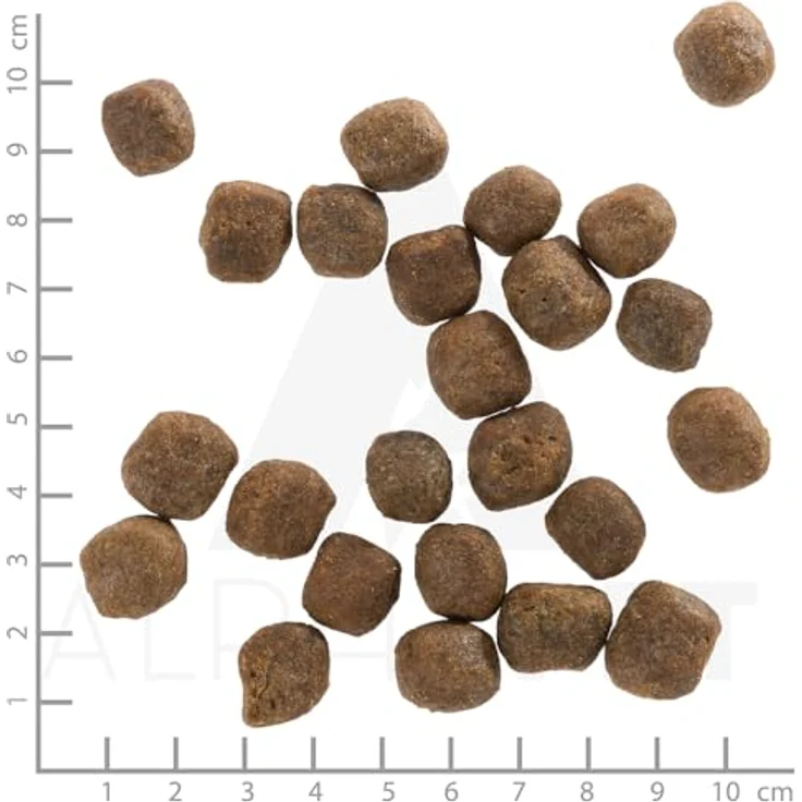 WOLFSBLUT Cold River Trockenfutter für Hunde Adult, 12,5 kg, getreidefreie Rezeptur mit Forelle und Süßkartoffeln, reich an Superfoods – Bild 3