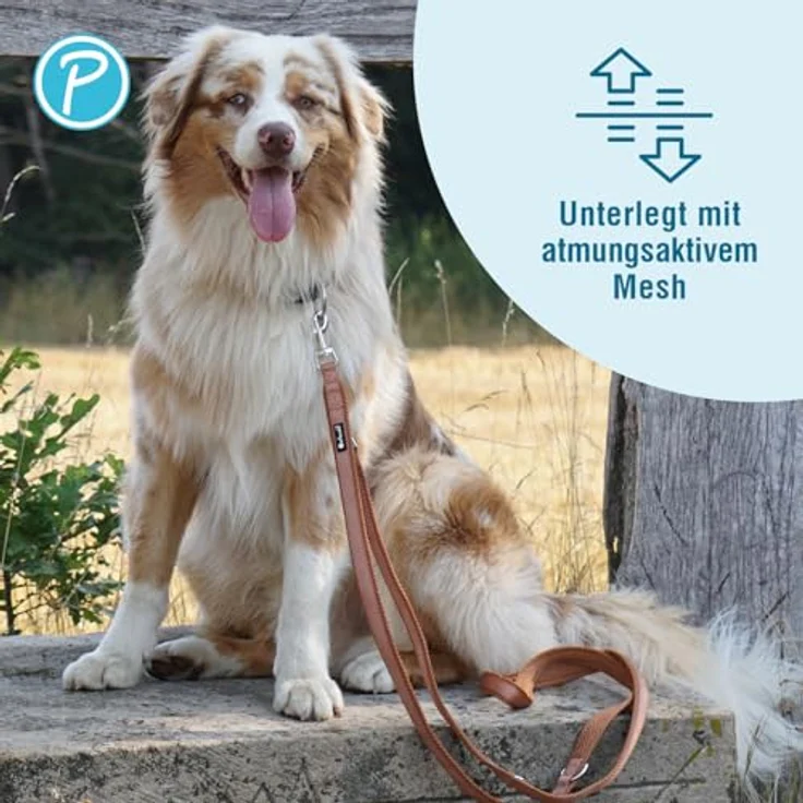 Petlando Hundeleine 2m Mesh weich gepolstert, Cognac, 3-fach verstellbar, ideal für mittelgroße Hunde – Bild 3