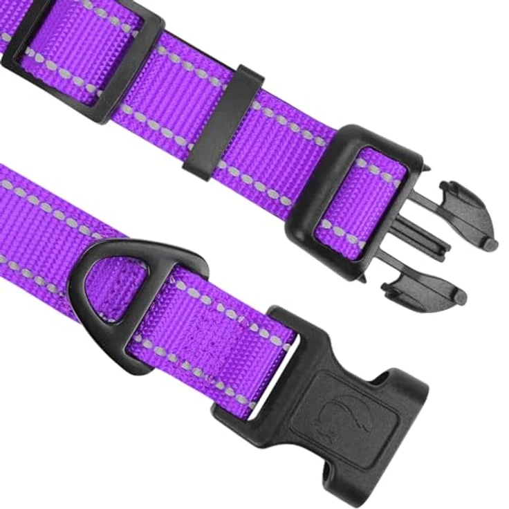 Joytale Gepolstertes Hundehalsband aus Neopren Nylon, Verstellbar und Reflektierend für Welpen, XS, Lila – Bild 3