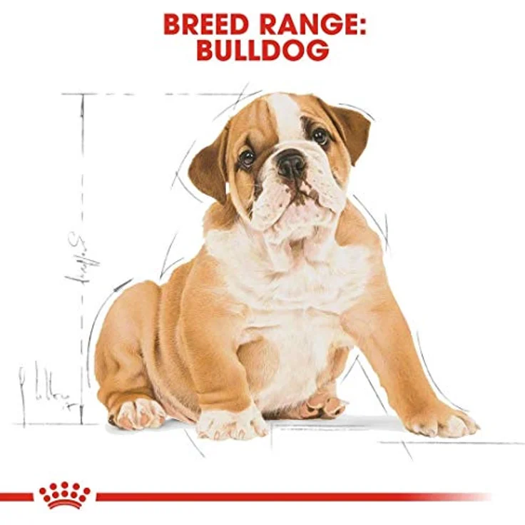 Royal Canin Bulldog Puppy, Hundefutter für Welpen bis 12 Monate, 12 kg, hohe Verdaulichkeit und Unterstützung von Knochen/Gelenken – Bild 6