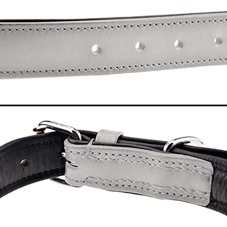 Schnüffelfreunde Hundehalsband aus Leder, gepolstert, robust, für kleine bis große Hunde, Größe S (24-30 cm), Grau – Bild 3
