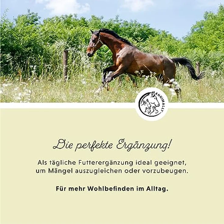 Annimally Premium Leinöl für Pferde & Hunde, 5l Kanister, kaltgepresst, reich an Omega 3 Fettsäuren, 100% natürlich, hergestellt in Deutschland – Bild 5