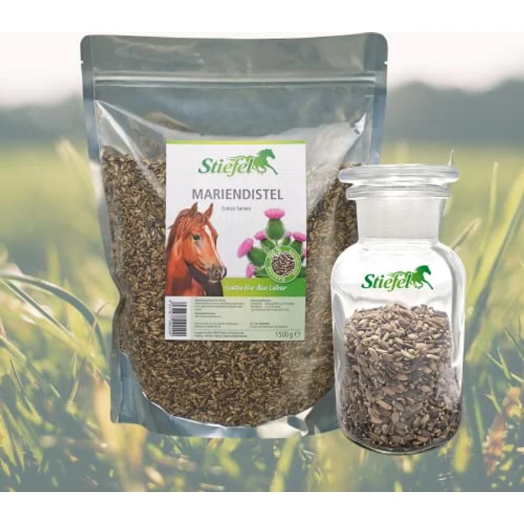 Stiefel Mariendistel, ganze Samen zur Unterstützung der Leberfunktion und Anregung des Zellstoffwechsels, 1,5kg – Bild 2