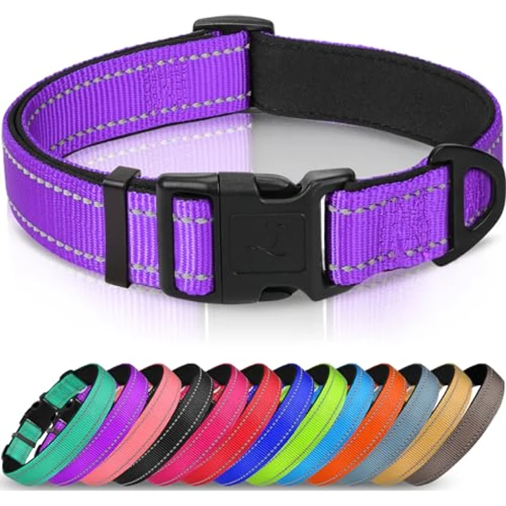 Joytale Gepolstertes Hundehalsband aus Neopren Nylon, Verstellbar und Reflektierend für Welpen, XS, Lila – Bild 1