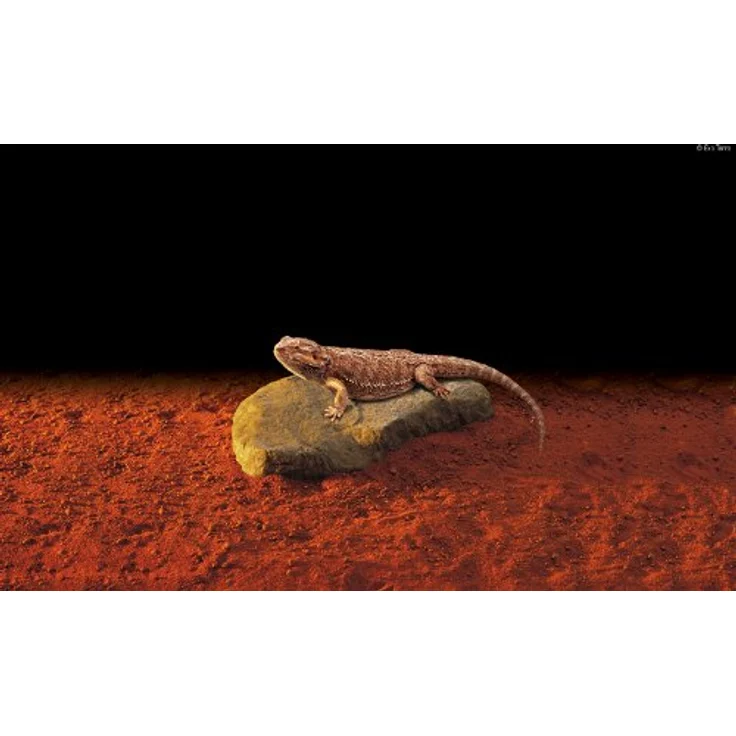 Exo Terra Heat Wave Rock, elektrischer Heizfels für Reptilien, klein, 15W mit LED Betriebsanzeigen – Bild 2