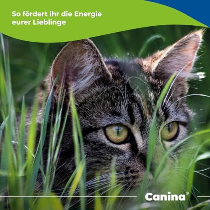 Canina Rinderfett Pulver 250g, natürliche Energiequelle für Hunde, geeignet für gesunde Gewichtszunahme und bessere Futteraufnahme – Bild 5