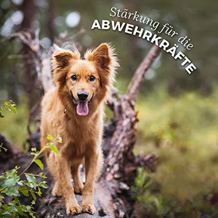 AniForte BARF Complete, 500 g Ergänzungsfutter für Hunde mit natürlichen Rohstoffen und Kräutermischung, ausgewogen und artgerecht – Bild 6