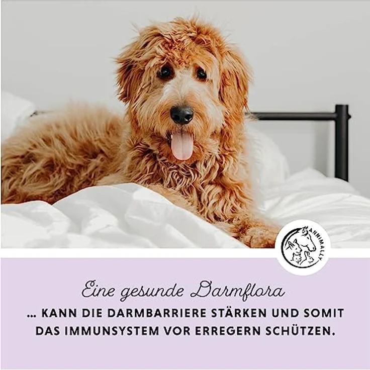 Annimally Hunde & Katzen Darmkur Pulver 250g, Synbiotikum zur Darmsanierung mit Probiotika und Präbiotika, ideal bei Durchfall und nach Wurmkur – Bild 2