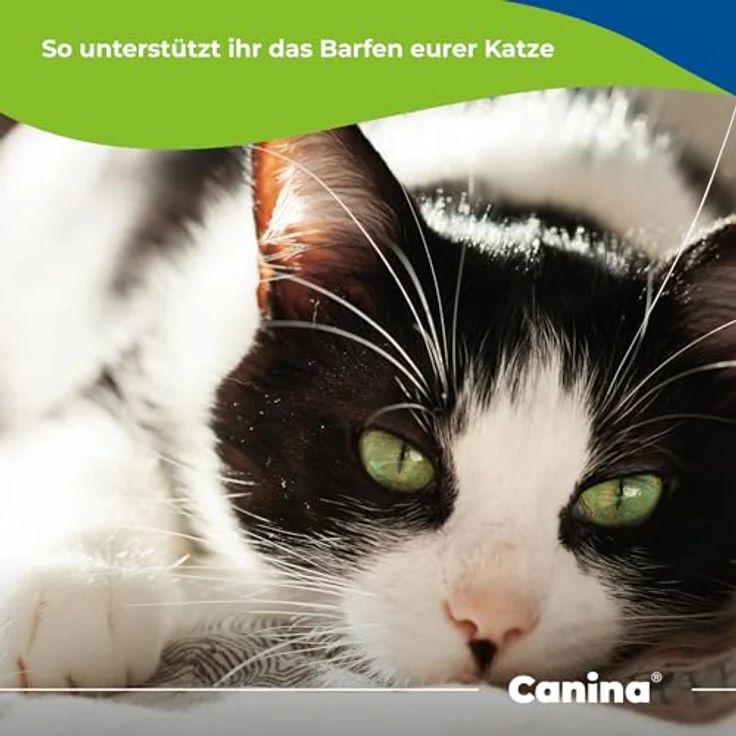 Canina Barfer's Best für Katzen, 500 g, B.A.R.F.-Nahrungsergänzung mit vitalen Nährstoffen und natürlichen Inhaltsstoffen – Bild 4