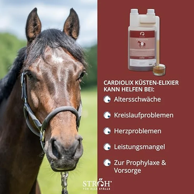 STRÖH CARDIOLIX (1l), Kräuter Elixier zur Herz-Kreislauf-Unterstützung für Pferde, mit Weißdorn & Rosmarin, ideal für ältere Pferde, zuckerfrei – Bild 3