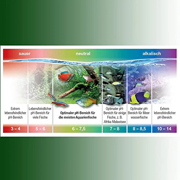 JBL pH-Minus 23047, Wasseraufbereiter zur Senkung der pH-Werte für Süßwasser Aquarien, 250 ml, mit Eichenextrakt – Bild 3