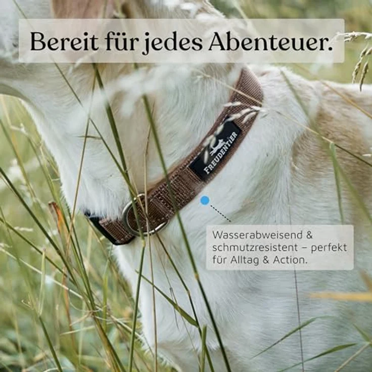 FREUDENTIER Hundehalsband, weich gepolstert mit Neopren, reflektierend & robust, für kleine bis große Hunde, Chocolate, 30-40CM – Bild 5