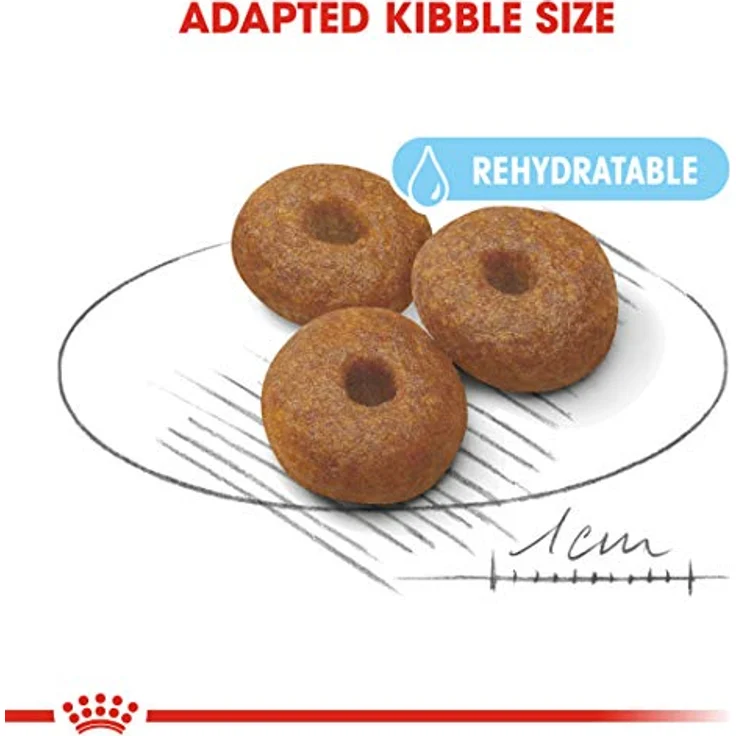 ROYAL CANIN Maxi Starter Mother & Babydog, Trockenfutter für Hunde, 15 kg – Bild 5