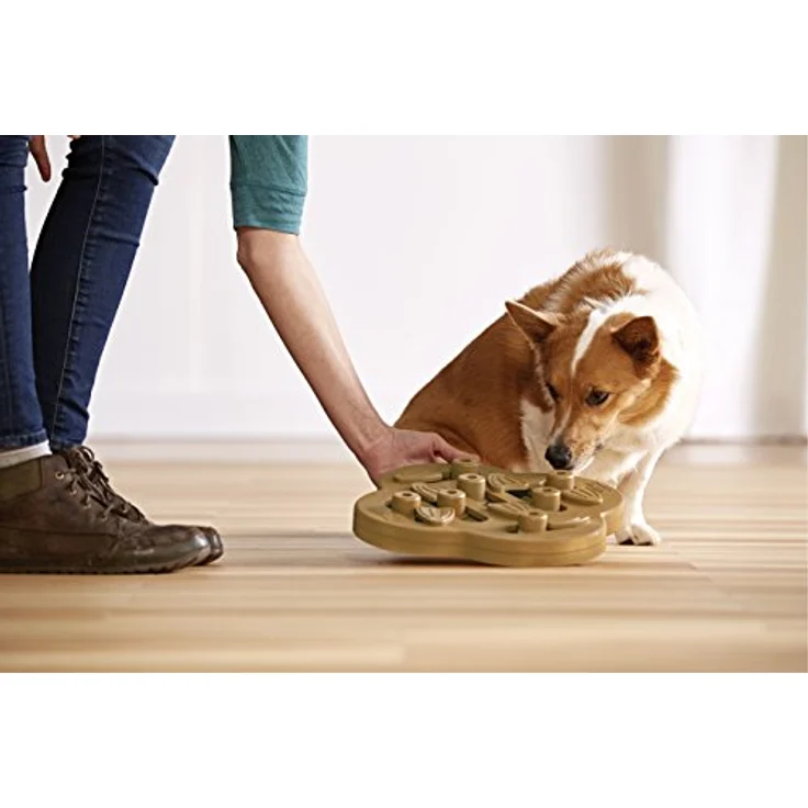 Outward Hound Dog Hide N' Slide Treat Puzzle Enrichment Toy, Level 2 Intermediate, interaktives Intelligenzspielzeug für Hunde, Tan, robustes Holzverbundmaterial – Bild 2