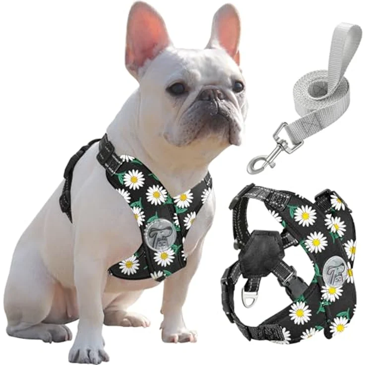 Pawaboo Hundegeschirr mit Hundeleine Set, X-Rahmen Verstellbares Anti-Zug Anti-Erstickung Brustgeschirr für Kleine und Mittelgroße Hunde, L, Schwarze Gänseblume – Bild 1