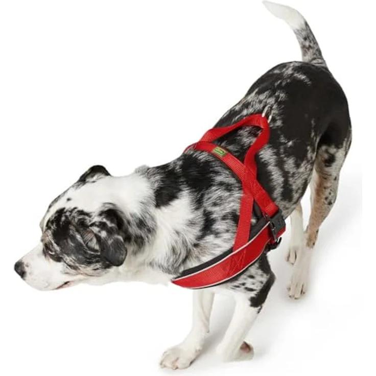 Hunter Harnas Norweger Racing Nylon Rood / Zwart Hundegeschirr und Leine – Bild 2