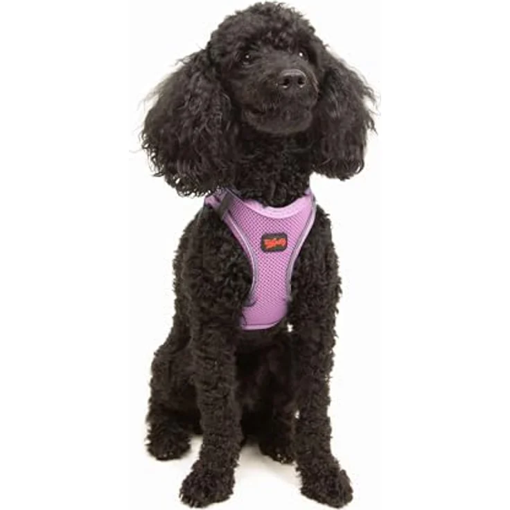 Tailpetz Air-Mesh Brustgeschirr für kleine und mittelgroße Katzen und Hunde – Weich, Atmungsaktiv, Strapazierfähig, Lila, XS (Brustumfang 35,5–40,5 cm) – Bild 1