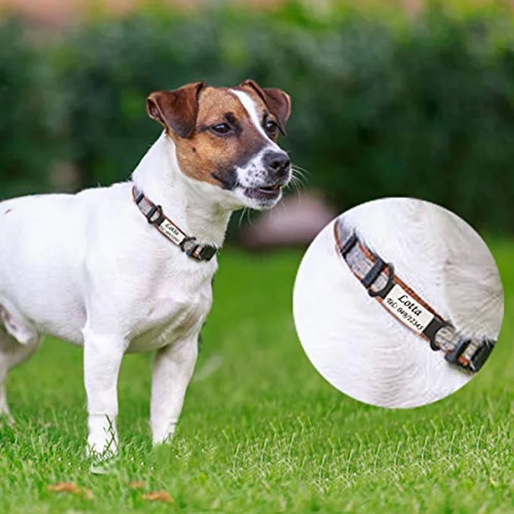 Gredstar Personalisierte Hundemarke aus Edelstahl, graviert mit Name und Telefonnummer, Fuchsie, Größe L – Bild 5