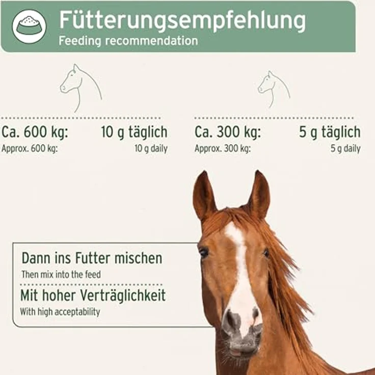 AniForte MSM Pulver 1,5 kg, Organisches Futter zur Gelenkunterstützung für Pferde – Bild 5