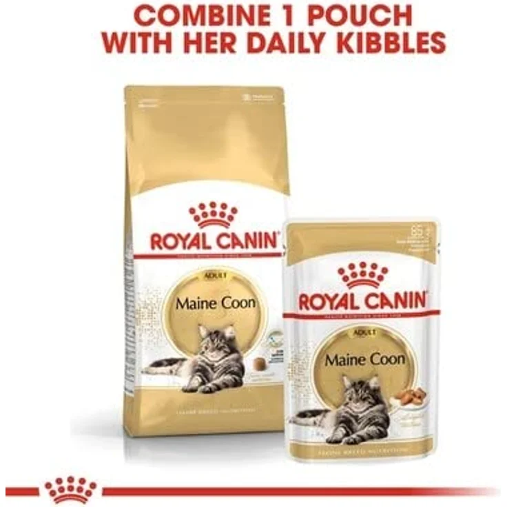 Royal Canin Maine Coon Adult, Nassfutter für Katzen, 12x85g, speziell abgestimmt auf die Ernährungsbedürfnisse von Maine Coons – Bild 8