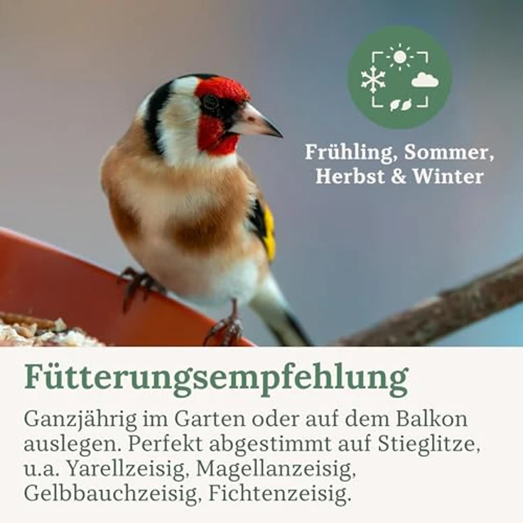 Orni Stieglitz Super Wildvogelfutter 5kg – Premium Saatenmischung mit Glanz, Negersaat & Wildsamen für Stieglitze & Waldvögel, artgerechte Ernährung – Bild 5