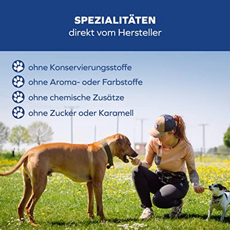 Tiernahrung Schwenner Rinderpansen für Hunde, getrocknete Kaustangen mit natürlicher Verdauungsunterstützung, 1000g, 20cm – Bild 5