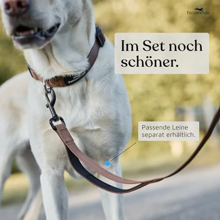FREUDENTIER Hundehalsband, weich gepolstert mit Neopren, reflektierend & robust, für kleine bis große Hunde, Chocolate, 30-40CM – Bild 4